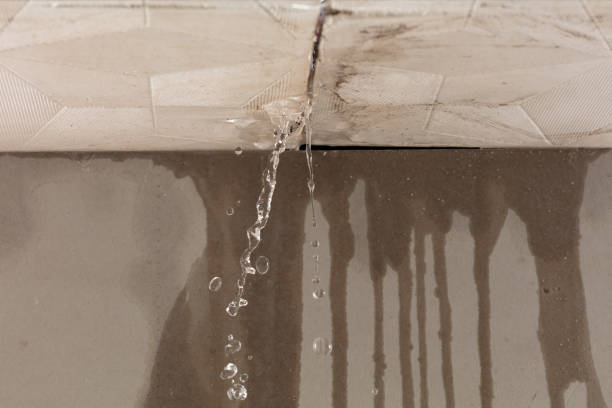 Professional Water Extraction technician working in Wildwood, FL